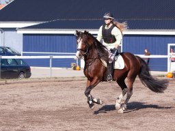 IMG_7185_web